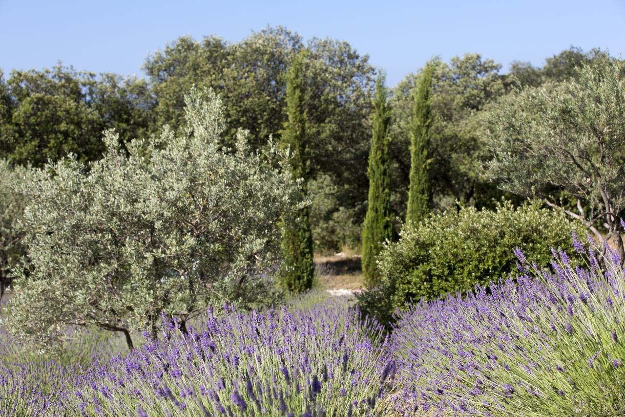 La Cle Des Champs, Boutique Hotel & Spa - Le Mas De Garrigon Roussillon  Exterior photo